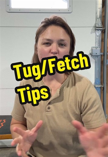 Keep it fun, short, and fragile. #fetch #retrieve #dogtraining #frisbeedog #dogtrainer