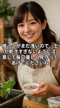 スイスチャードの育て方 失敗しやすい原因と長く収穫するための判断ポイント #ベランダ菜園 #栽培のコツ