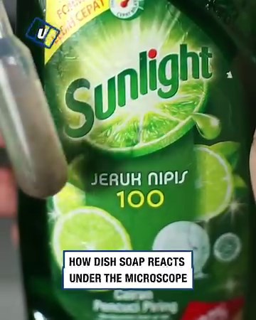 This is what dish soap looks like under a microscope 🔬🧼 | UNILAD Tech
