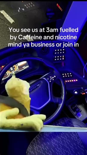 Enjoying Night Runs with Bus Drivers