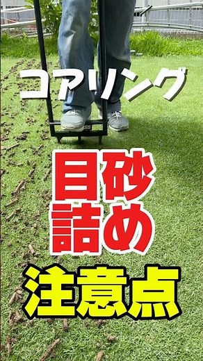 Important Tips for Top-Dressing Core Aeration Holes ⚠️ Why You Shouldn't Just Dump Sand: Lawn Car...