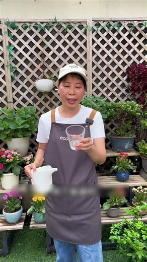 The foolproof secret to propagating flowers 🤯✨