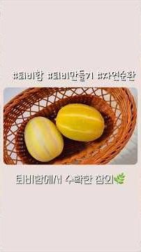 퇴비함 두번째 이야기 #참외 #치아씨드 #퇴비함 #퇴비만들기