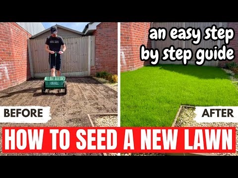 How to Seed a New Lawn - Complete Lawn Renovation