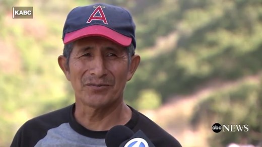 1,050 goats clear dry brush from fire-prone hillside in California