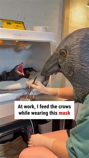 1.4M views · 21K reactions | Totally bizarre - but an ingenious idea 殺 | WTVideo | Facebook