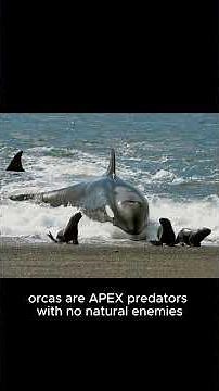 10 interesting facts about Arctic and Antarctic animals #facts #venomouscreatures #wildlife