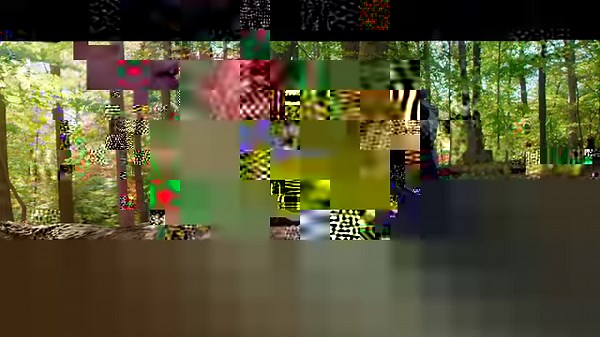 41K views · 195 reactions | Did you know Rock Creek Park is TWICE the size of Central Park? Explore DC's natural wonders and discover more: https://washington.org/real-dc | Visit Washington DC | Facebook