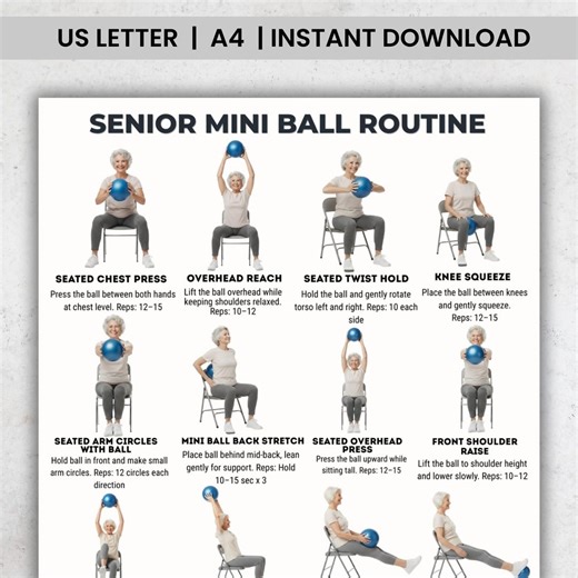 Senior Mini Ball Exercise Routine | 16 Seated Mini Ball Exercises for Seniors | Low-impact Strength & Mobility Printable PDF - Etsy Canada