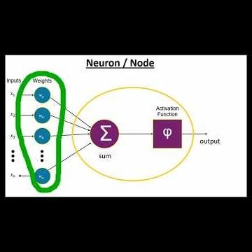 The Magic of Artificial Neural Network Weights