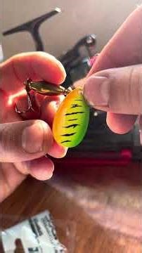 Best Spinnerbait Setup for Maximum Strikes