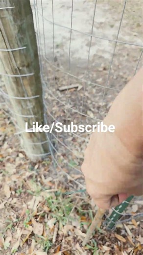 How to remove a grounding pole#diy #diyprojects #fence #reels #viral