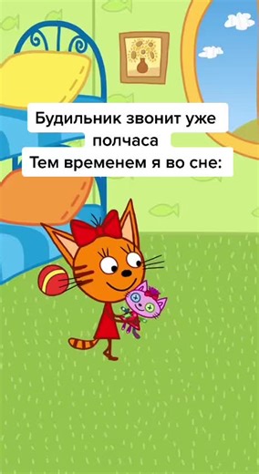 Карамелька, Трикота, и Коржики: Забавные и Курьезные Моменты