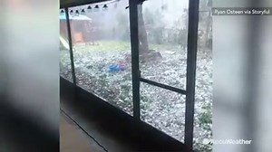 48K views · 654 reactions | Listen to that SOUND! Large hail tore leaves from the trees in Cocoa, Florida Wednesday: | AccuWeather | Facebook
