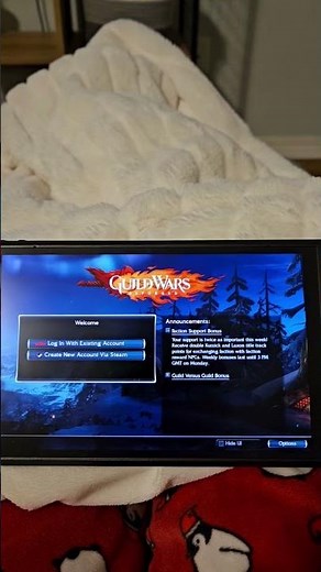 Guild Wars Reforged Is Missing This One Key Thing.