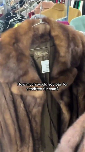 Have the thrift stores lost the plot? Would you pay $250 for vintage fur? #furjacket #vintagefur