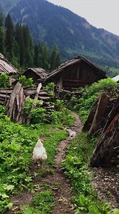 12K views · 616 reactions | Taobutt Neelum Valley  | Pakistan Travel Guide | Facebook