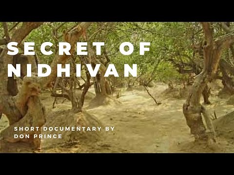 Secret of Nidhivan-Short Documentary | National Discovery Channel