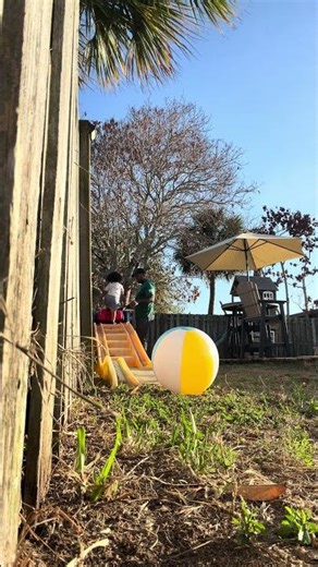 Florida Gator Baby: Backyard roller coaster