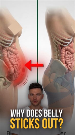 Dr Ales Ulishchenko MD PhD - Integrative Doctor|Osteopath|Healer on Instagram: "🤯 Lift your belly and your face lifts with it But yet why doesn't lower back go away?⚡️Stress, tension, holding everything together for years push the belly forward. ⚠️ When a woman loses inner support, the body starts to compensate — everywhere. You may notice 👇 ❌ loss of deep core support, poor posture ❌rounded shoulders, "computer neck” ❌ sagging jawline and lower face ❌ double chin appearing This is one chain. 