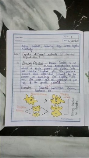 Explain Different Methods of Asexual Reproduction #biology #science #budding #digram #reproductive