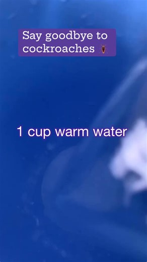 1M views · 6K reactions | Kill and repel cockroaches instantly with this powerful home remedy, fast, safe, and effective #pestcontrol #homeremedies #CockroachesControl | Aunty Jossy | Facebook