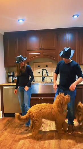 1.8K views · 20 reactions | New Trend Alert! Fun new little line dance by DC: #jerseyjoe #linedance #trending #countrymusic #family | Line Dancing | Facebook