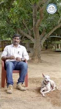 உப்பு மட்டும் சேர்க்காதிங்க Guysssss❗️ #jonangi #alangukottaidogfarm