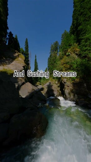 Kashmir in April #travel #kashmir #spring