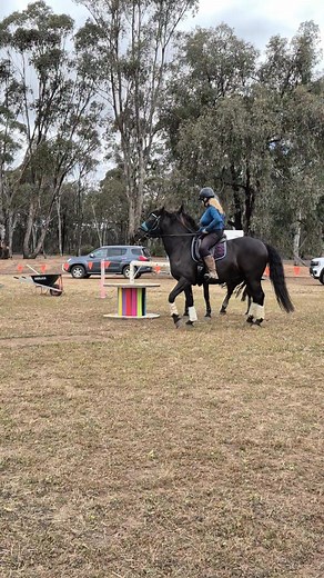 Moments made into memories. | Amaroo obstacles and trail