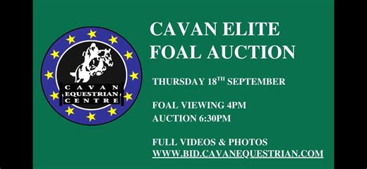 CAVAN ELITE FOAL SALE THURSDAY 18TH SEPTEMBER | Showjumping Ireland