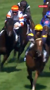 16K views · 124 reactions | Can Mr Brightside go back-to-back in Saturday's G1 C.F. Orr Stakes at Caulfield?  Re-live his incredible win in last year's edition  | Racing.com | Facebook