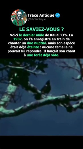 Il était le tout dernier