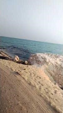 😭💔🙏#shorts #shortvideo #newarblog #youtubeshorts #trending