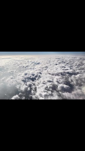 Wow amazing 😻 | Funny Comment Reader