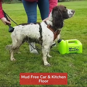 908K views · 1.8K reactions | ⭐⭐⭐⭐⭐ Love this device. I fill it with...