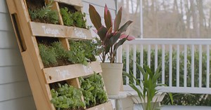 How to Build a Pallet Herb Garden