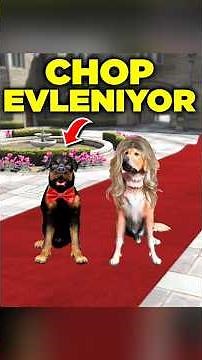 I MADE CHOP'S WEDDING - GTA 5 MODS