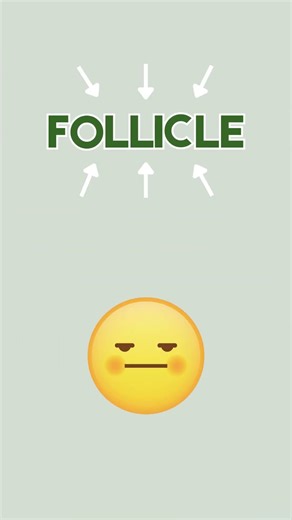 Follicle Stimulating Hormone (FSH) IQ1 P2