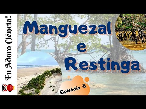 Biomas e Ecossistemas Brasileiros - MANGUEZAL E RESTINGA (Episódio 8)