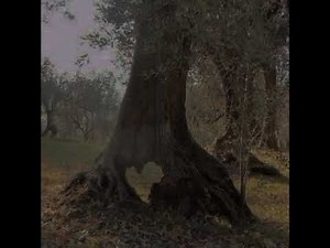 moment ♪ lildeath (slowed + soft rain) [1 hour]