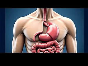 Defecation reflex (part 2).... Gyton