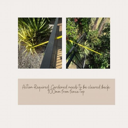 Pool Safety Standards Inspection