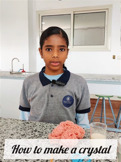 Exploring Crystal Growing: A Student's Scientific Adventure