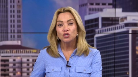 Tariffs impacting prices of fake Christmas trees