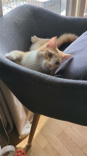 Dernière chance pour deviner ma destination ! 🎒✨​