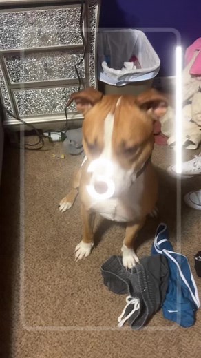 Akkkiirraa on TikTok