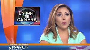 *Panty Prowler* | Allison Miller