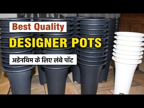 Designer Pots from a face book seller | designer pots online order | online buy best designer pot