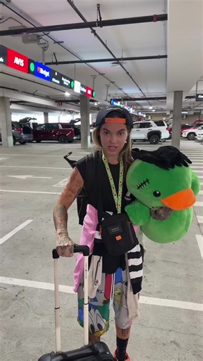 Duck Takes Its First Flight: Will It Fly Again?